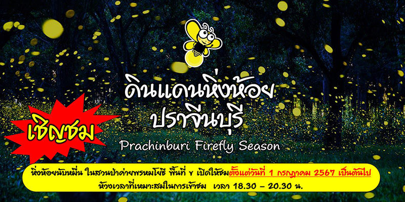 หิ่งห้อย